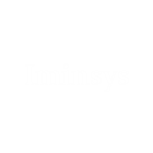 Iminsys